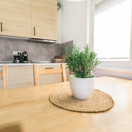 Apartment Positive Sport