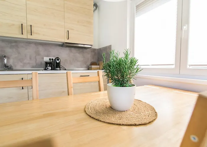 شقة Positive Sport